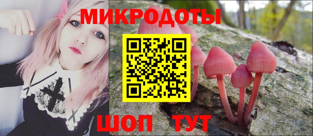 Галлюциногенные грибы Magic Shrooms  Вход с VPN  Карачаевск  Галлюциногенные грибы Cubensis 